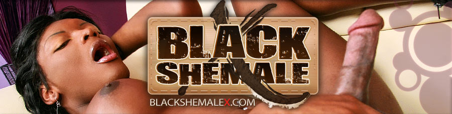 Black Shemale X